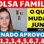 🙌 BOAS NOTÍCIAS! MUDANÇAS BOLSA FAMÍLIA a partir de JUNHO! SENADO APROVOU!